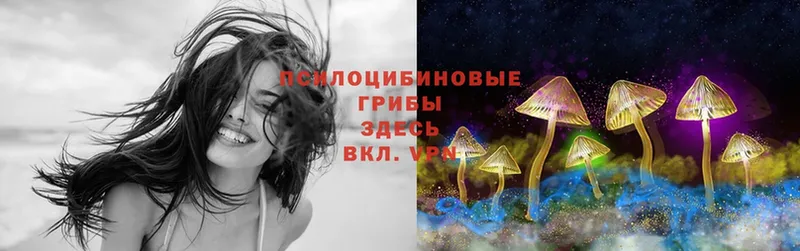 Псилоцибиновые грибы MAGIC MUSHROOMS  как найти   Бирюч 